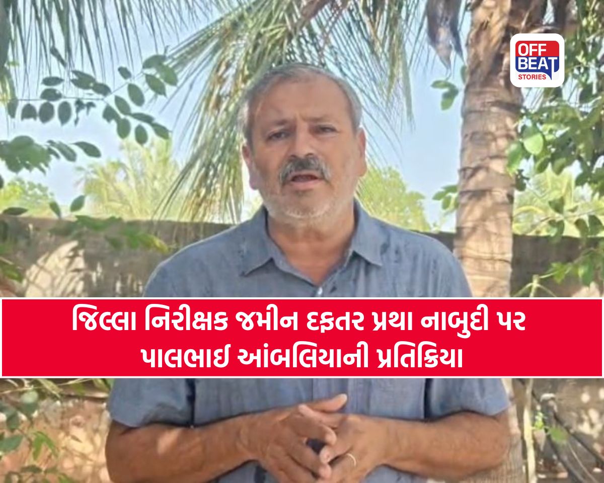 "કચેરીઓ વધારવાથી નહીં, દાનત સુધારવાથી પ્રશ્નો ઉકેલાશે"
