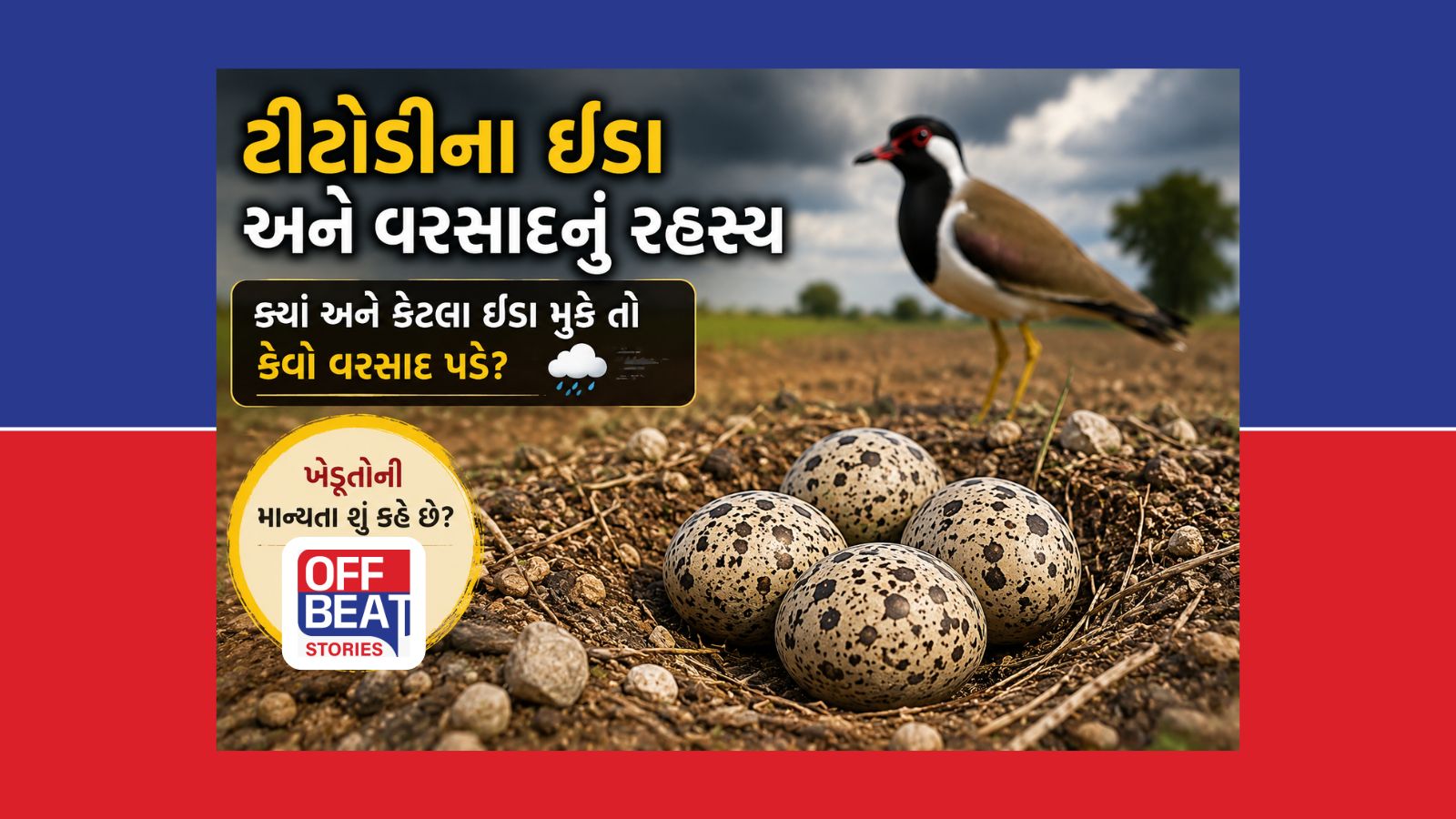 ટીટોડી ક્યાં અને કેટલાં ઈંડાં મૂકે તો કેવો વરસાદ પડે?