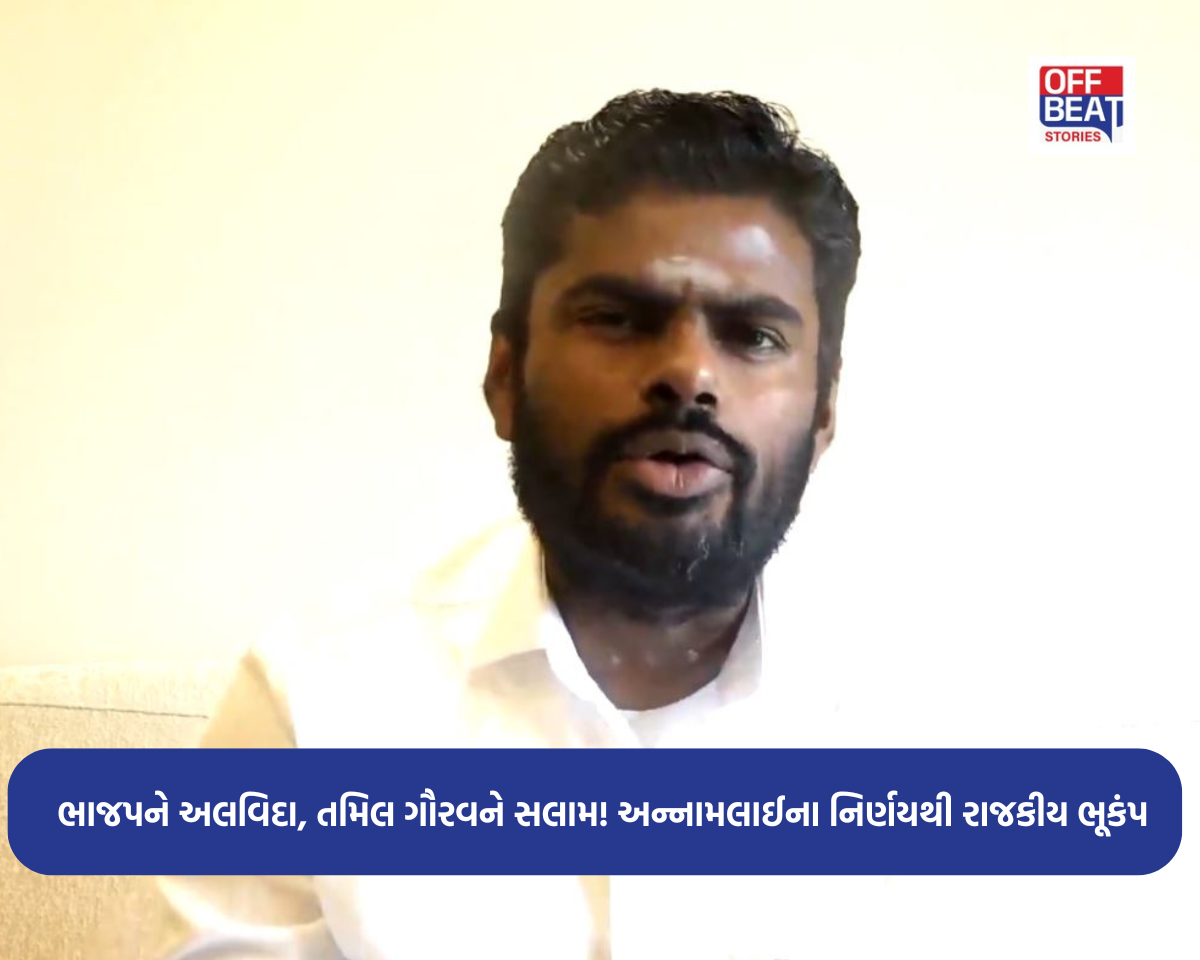 રાજીનામા બાદ અન્નામલાઈનો રાજકીય બોમ્બ