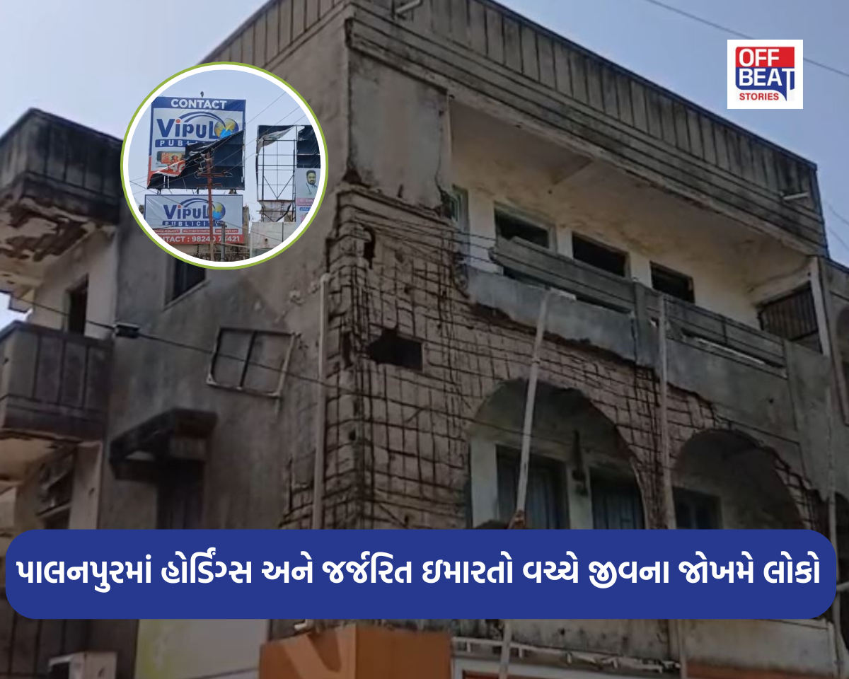 નોટિસો પૂરતી કે કાર્યવાહી પણ થશે?
