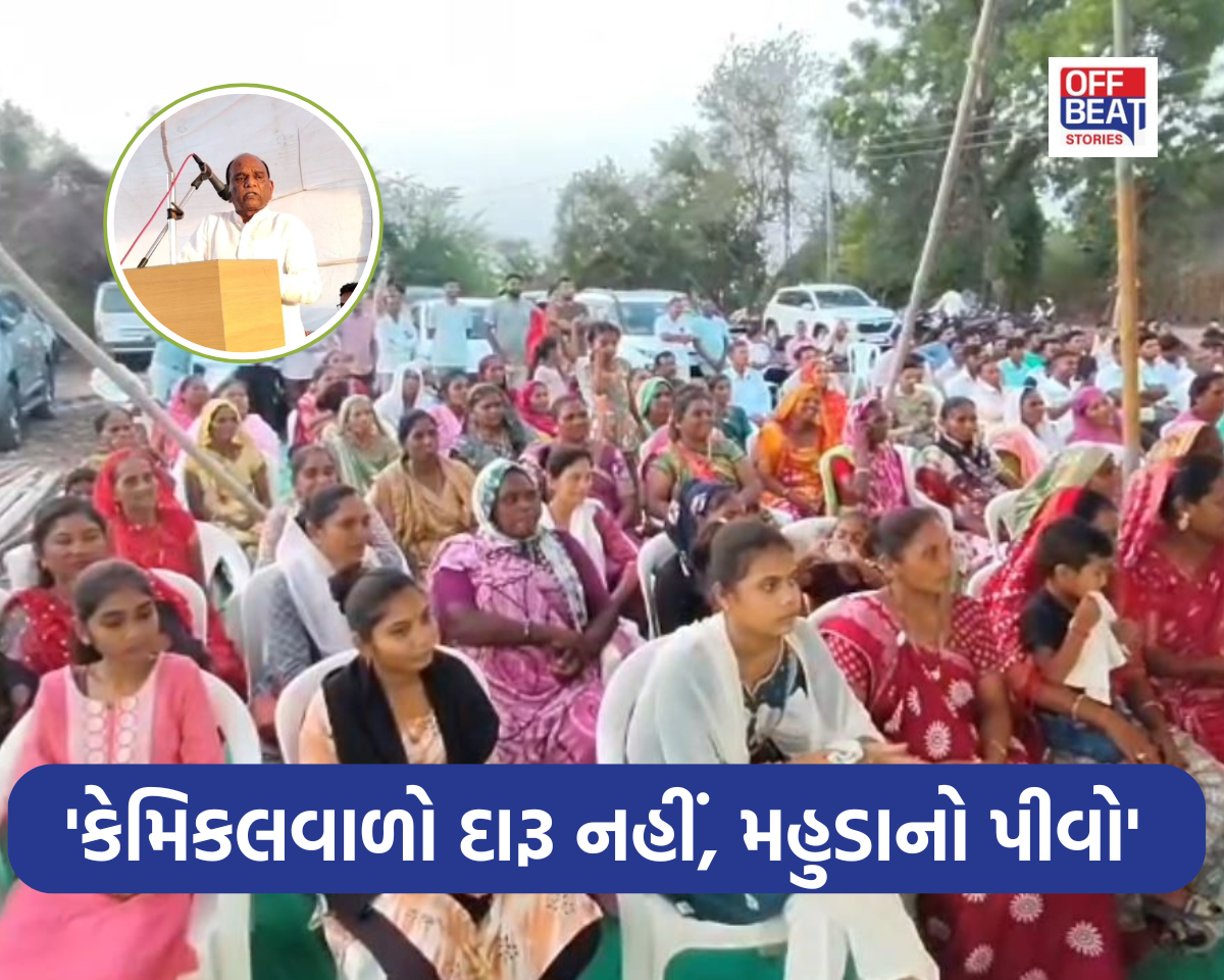 'કડક છે કડક છે શું *** કડક છે...!'
