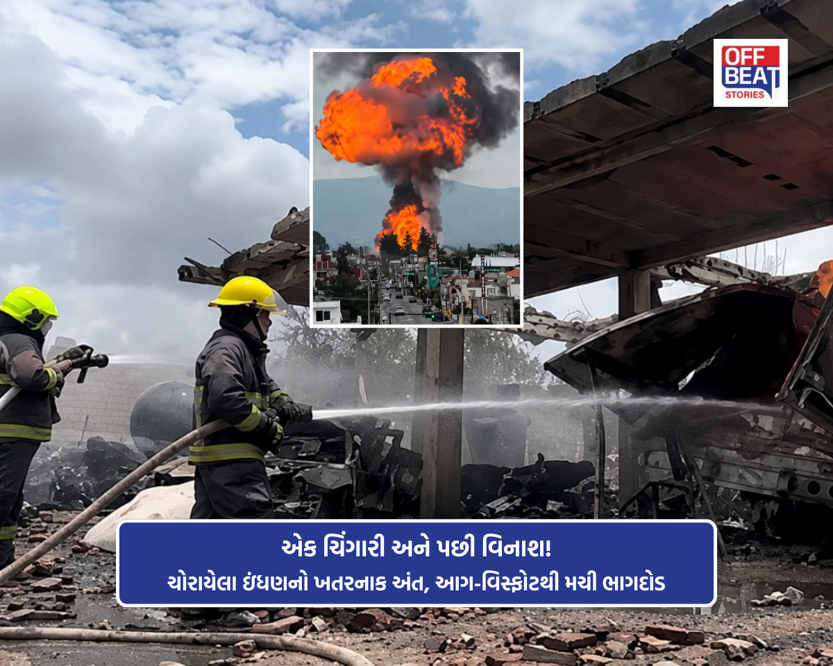 ચોરીના ઇંધણનો કાળો કારોબાર પડ્યો ભારે