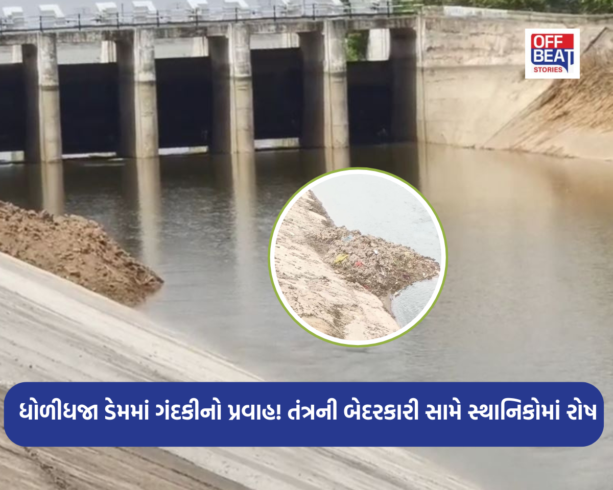 3 લાખ લોકોના આરોગ્ય સાથે ખેલ!