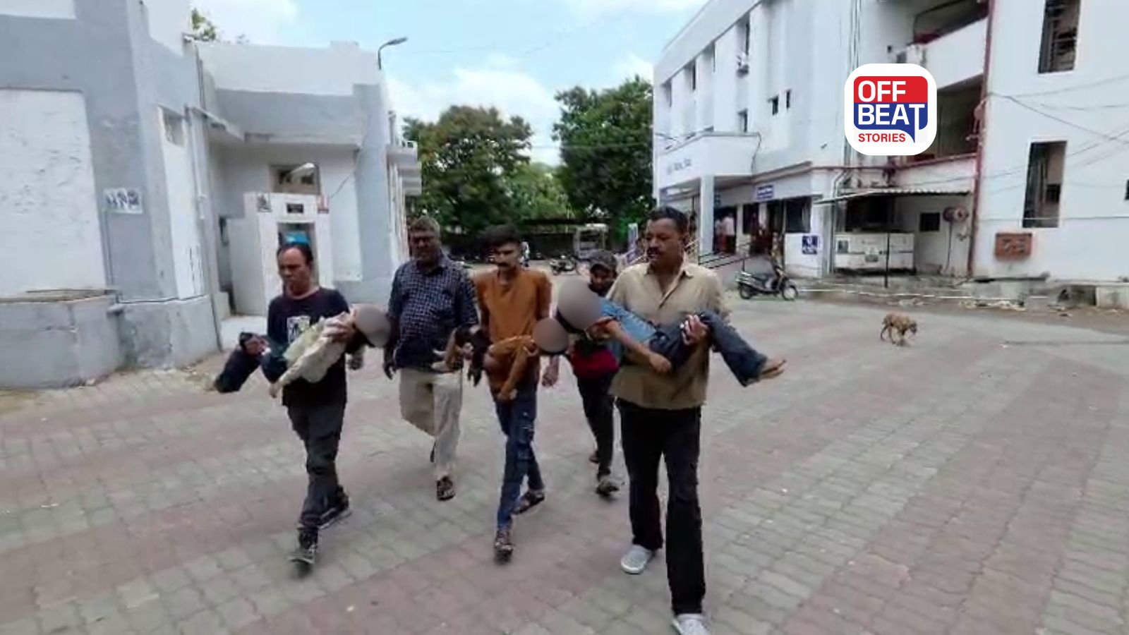 ગોંડલના શેમળા ગામે હૃદયદ્રાવક દુર્ઘટના