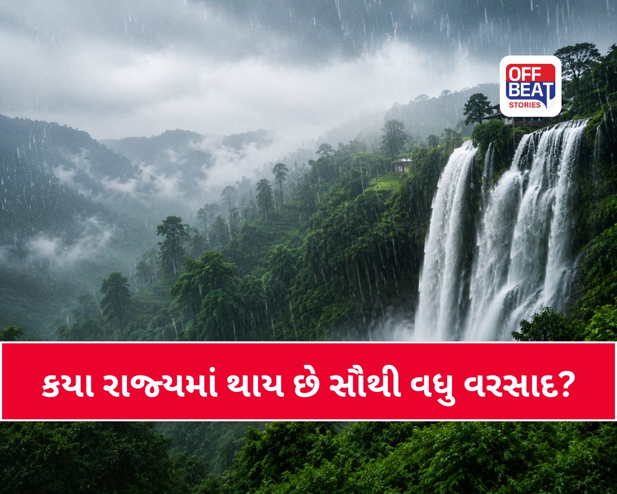 દેશના કયા રાજ્યમાં થાય છે સૌથી વધુ વરસાદ?