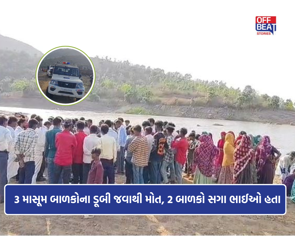 અંબાજી નજીક રિછડી તળાવમાં કરુણ દુર્ઘટના