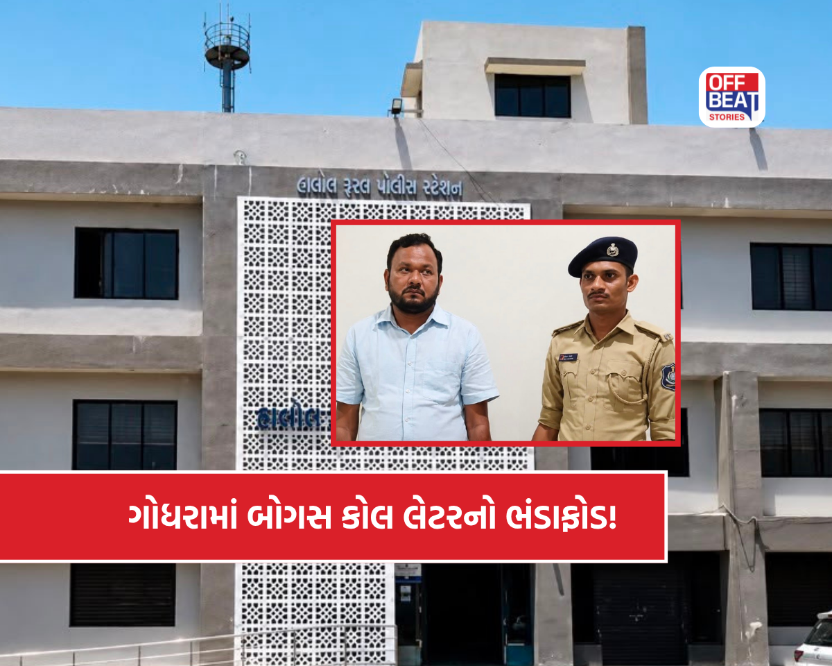 સરકારી નોકરીના નામે ₹1.66 કરોડની ઠગાઈનો પર્દાફાશ!