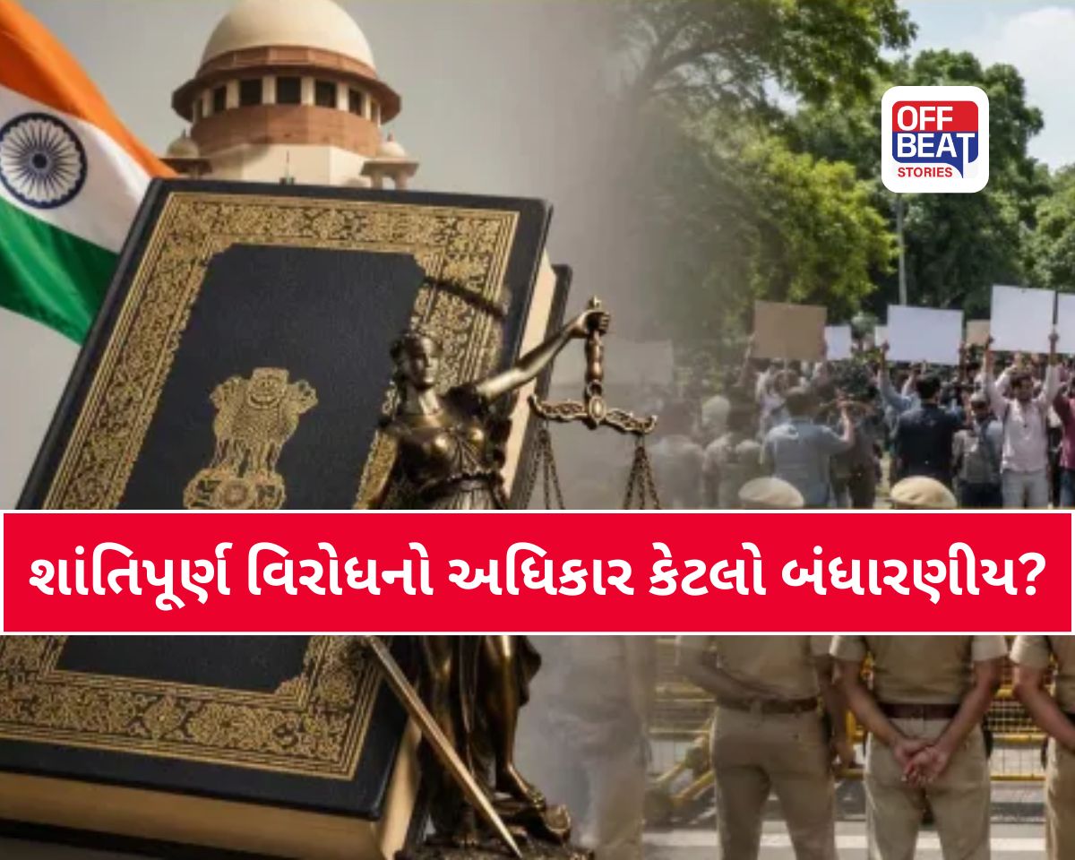 આર્ટિકલ 19 અને જંતર-મંતર પર પ્રદર્શનના શું છે નિયમો