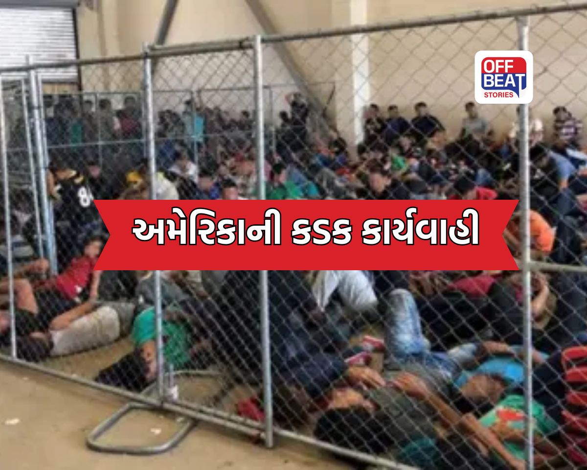 કરોડો ખર્ચ્યા, જીવ જોખમમાં મૂક્યો અને અંતે ખાલી હાથે પરત!