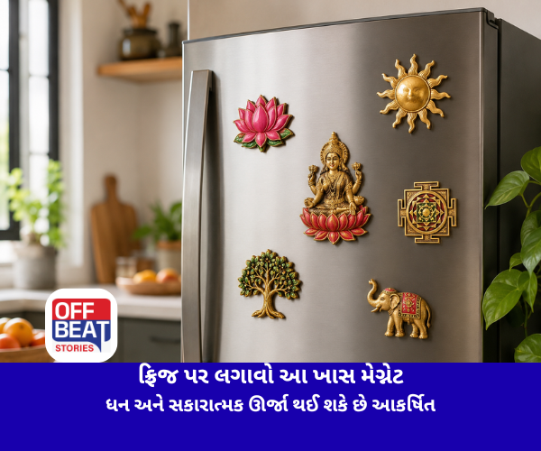 ફ્રિજ પર લગાવો આ ખાસ મેગ્નેટ
