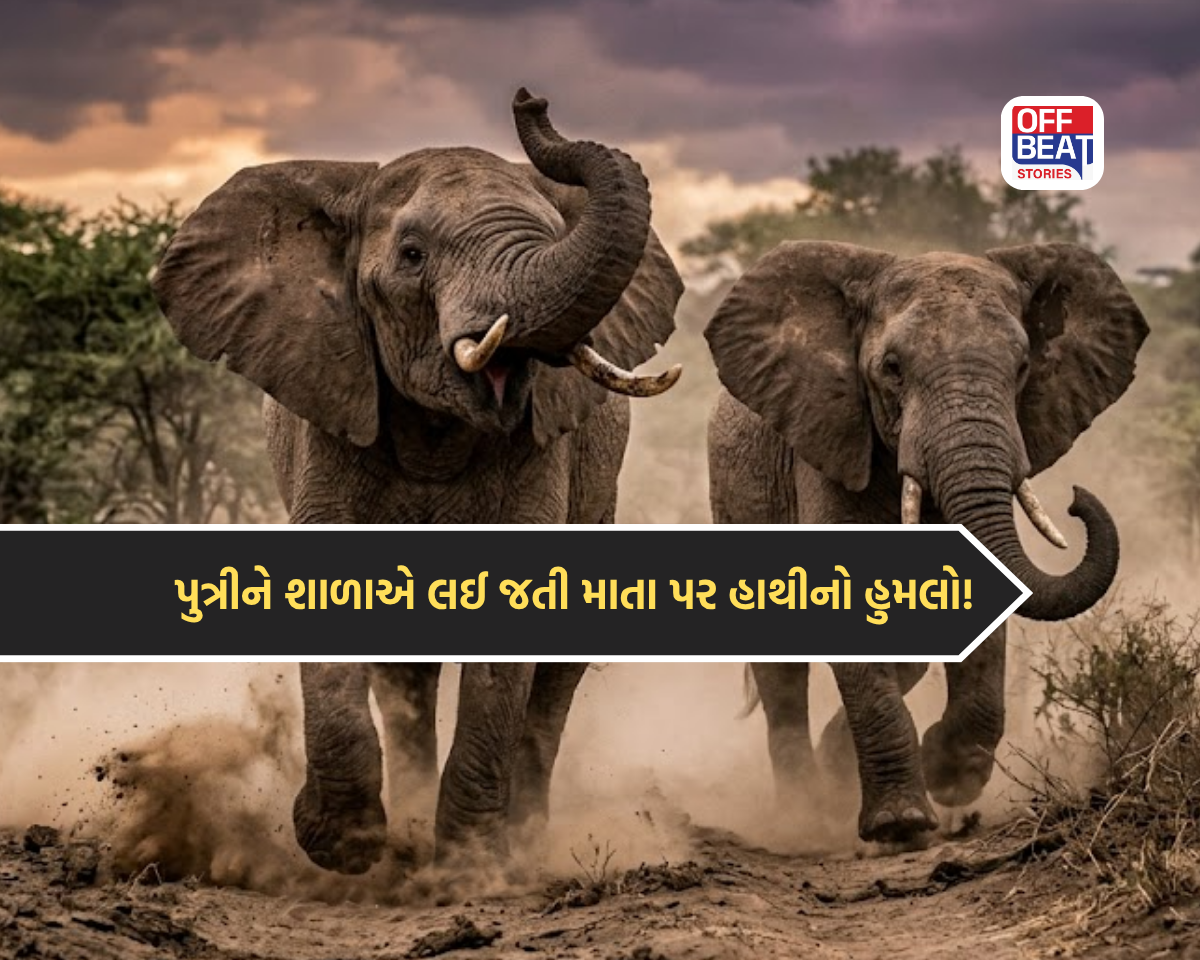 કેરલમમાં કાળજું કંપાવતી ઘટના!
