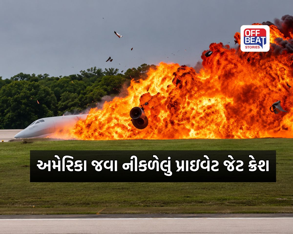ઉડાન ભરતાની સાથે જ ક્રેશ થયું પ્રાઇવેટ જેટ