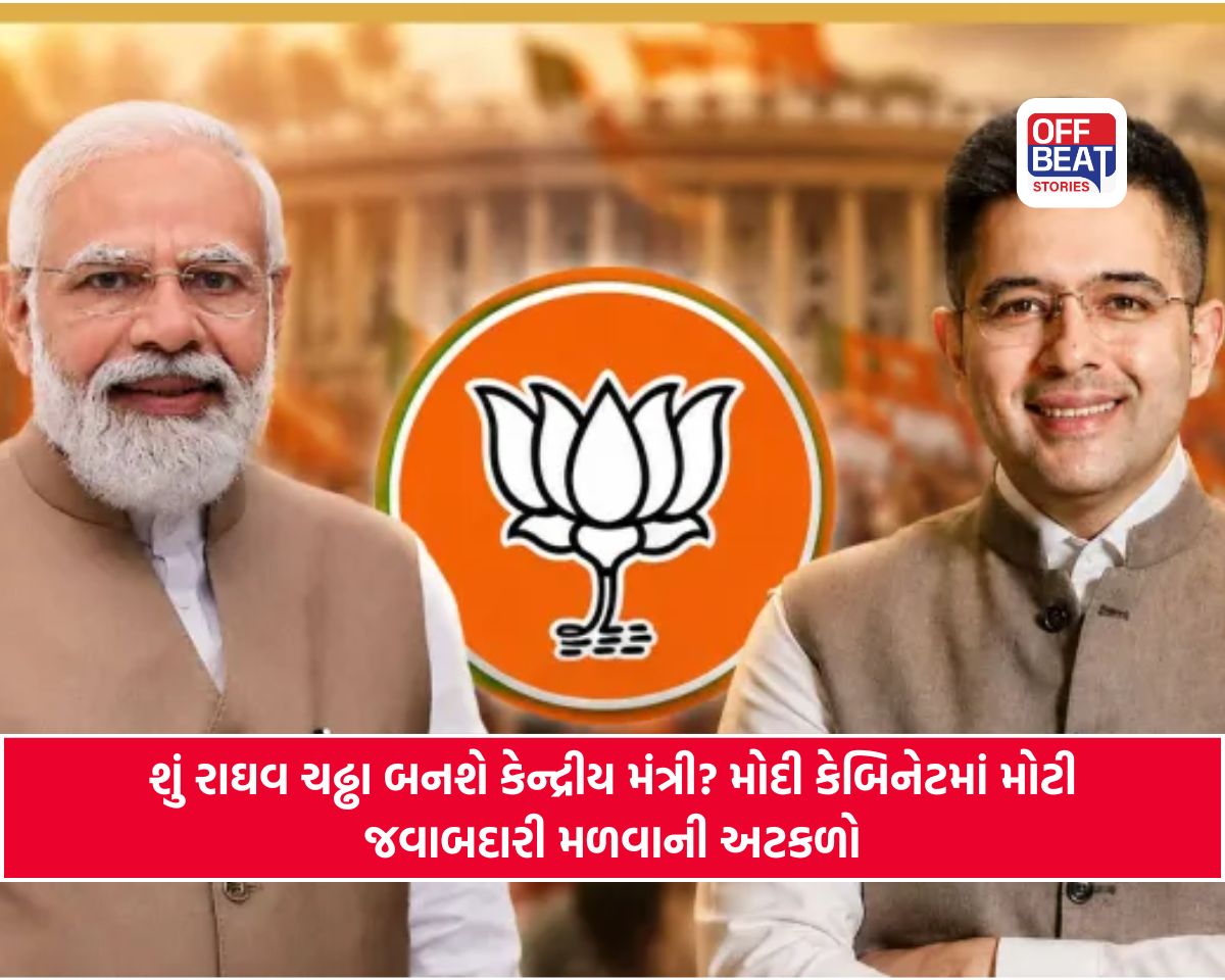 રાઘવ ચઢ્ઢાને મોદી કેબિનેટમાં મળશે સ્થાન?