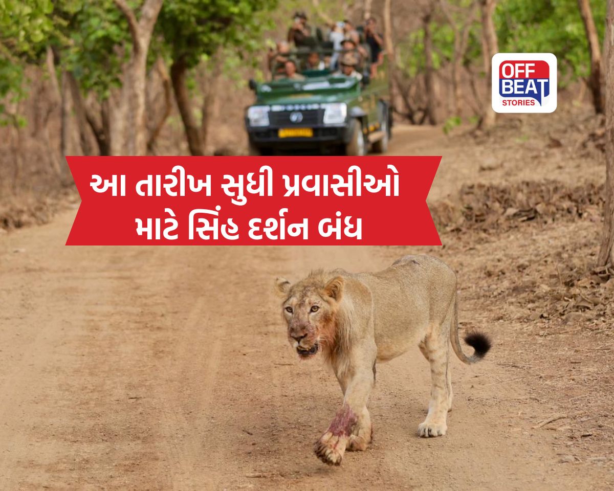 Gir Safari Closed