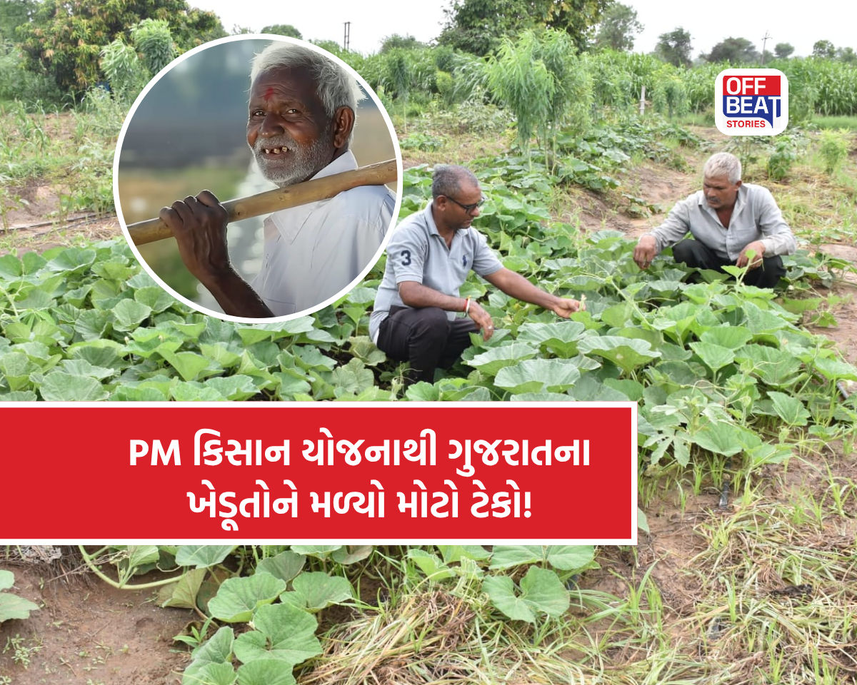 PM કિસાન યોજના બની ગુજરાતના ખેડૂતો માટે આર્થિક સંજીવની