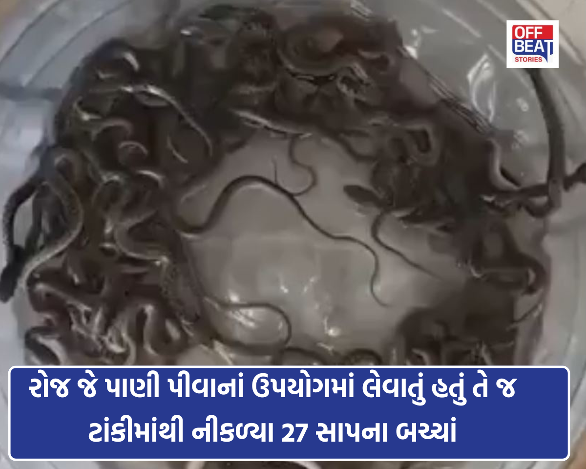 હરિદ્વારમાં ઘરની ટાંકીમાંથી મળ્યા 27 સાપના બચ્ચાં