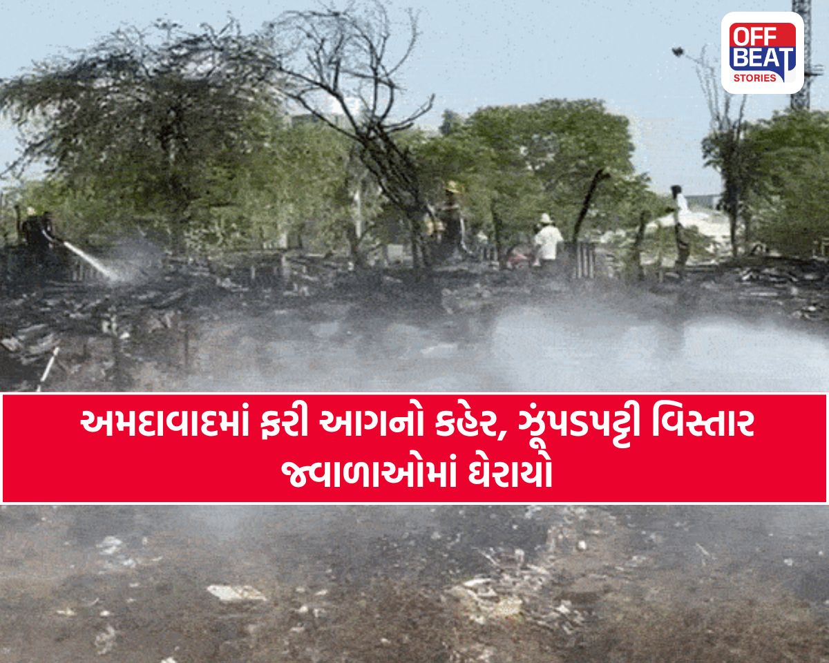અમદાવાદમાં વિશાલા-નારોલ રોડ પર મેટ્રો નજીક ભીષણ આગ