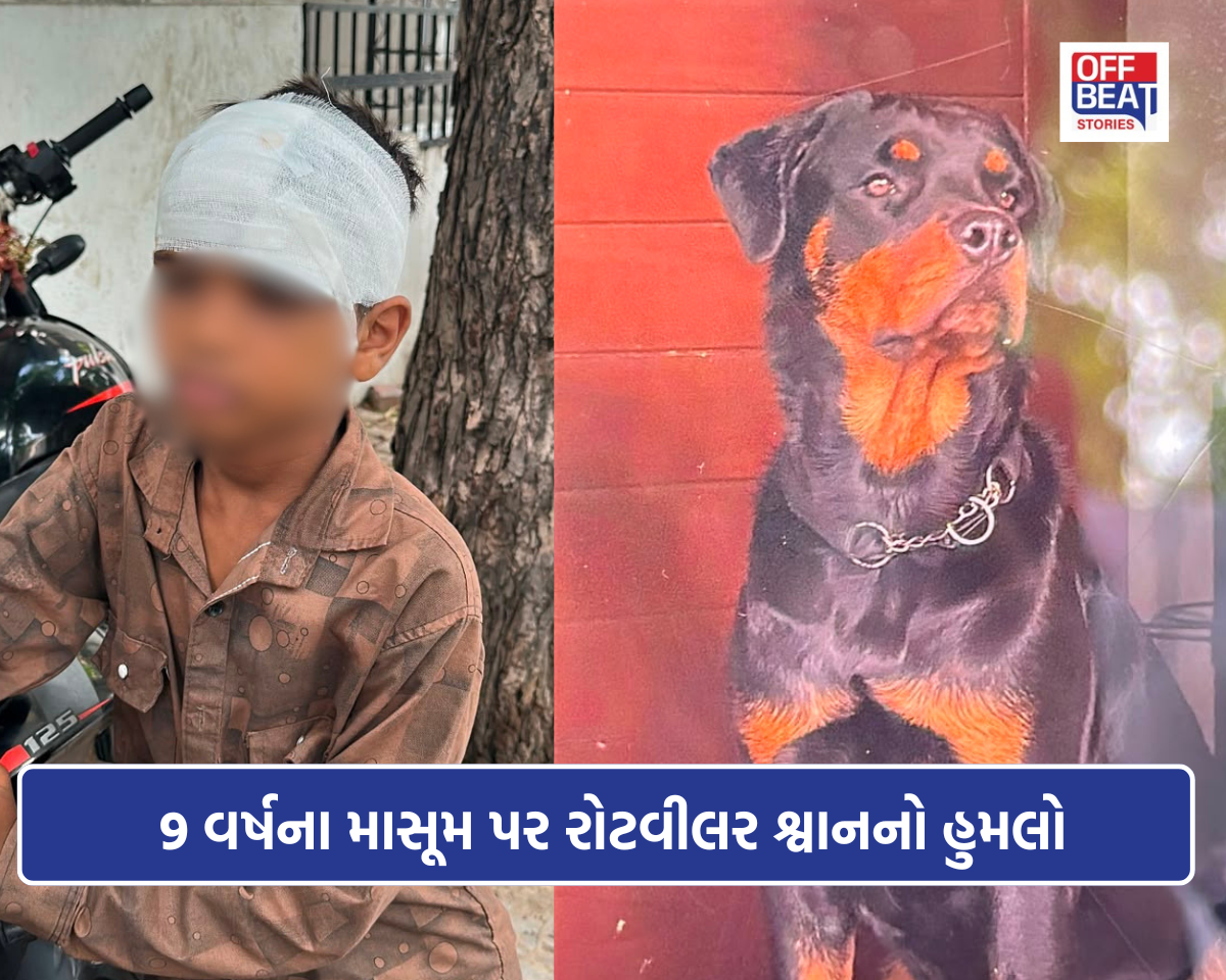એક પળમાં ખુશી ફેરવાઈ ચીસોમાં