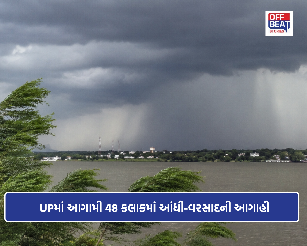 UPમાં આગામી 48 કલાકમાં આંધી-વરસાદની આગાહી
