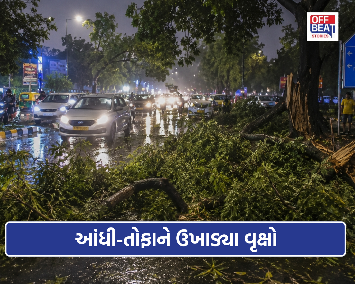 પળવારમાં બદલાયું દિલ્હીનું દૃશ્ય