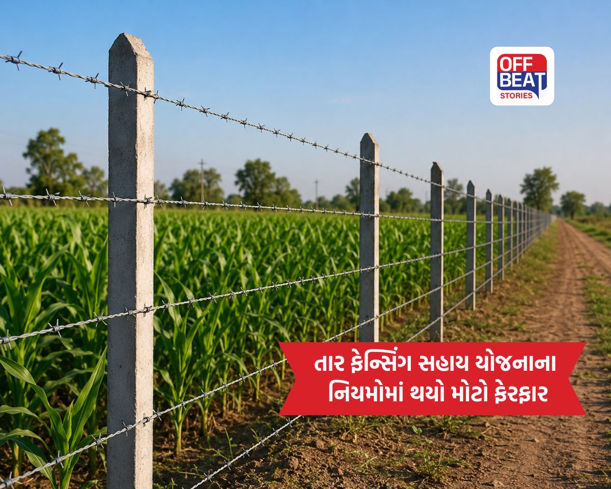 ખેડૂતો માટે મોટા સમાચાર!