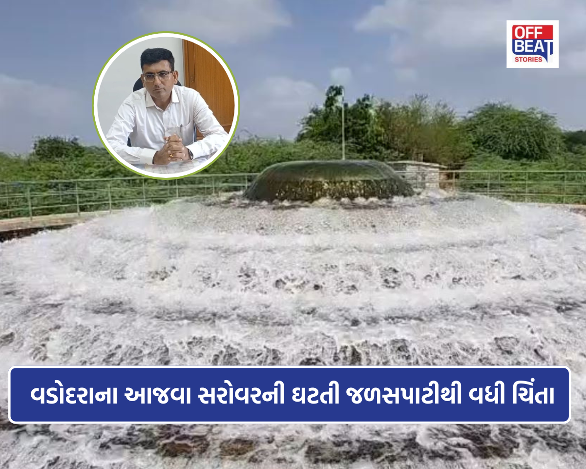 વડોદરામાં પાણી સંકટની આહટ?