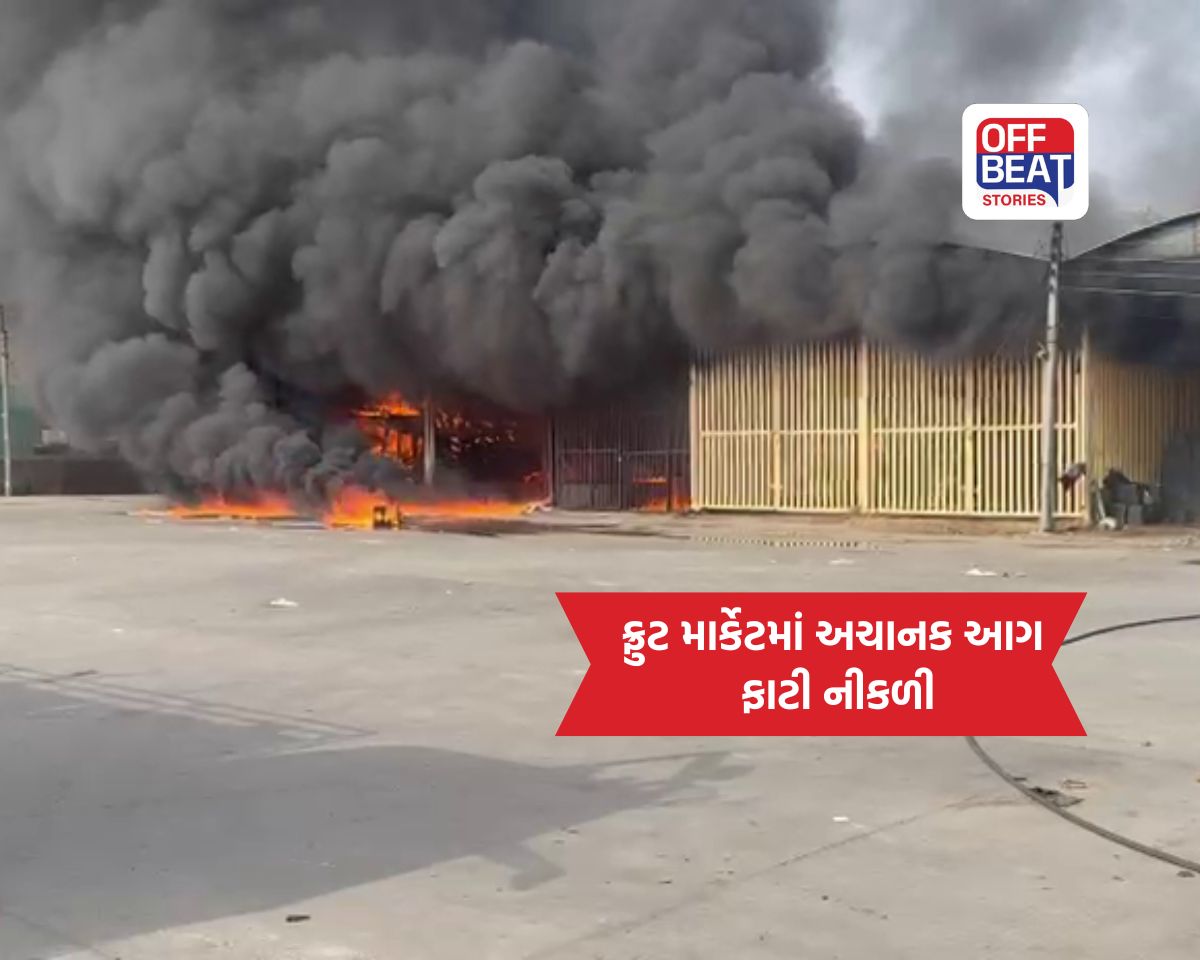 મહેસાણા ફ્રુટ માર્કેટમાં લાગી ભીષણ આગ