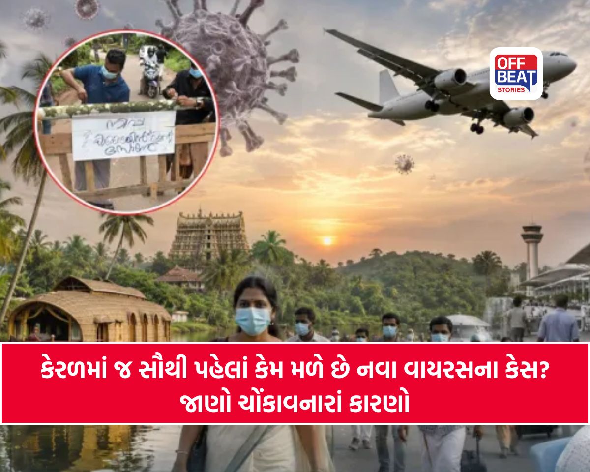 કોરોના-નિપાહ હોય કે શિલેગા...