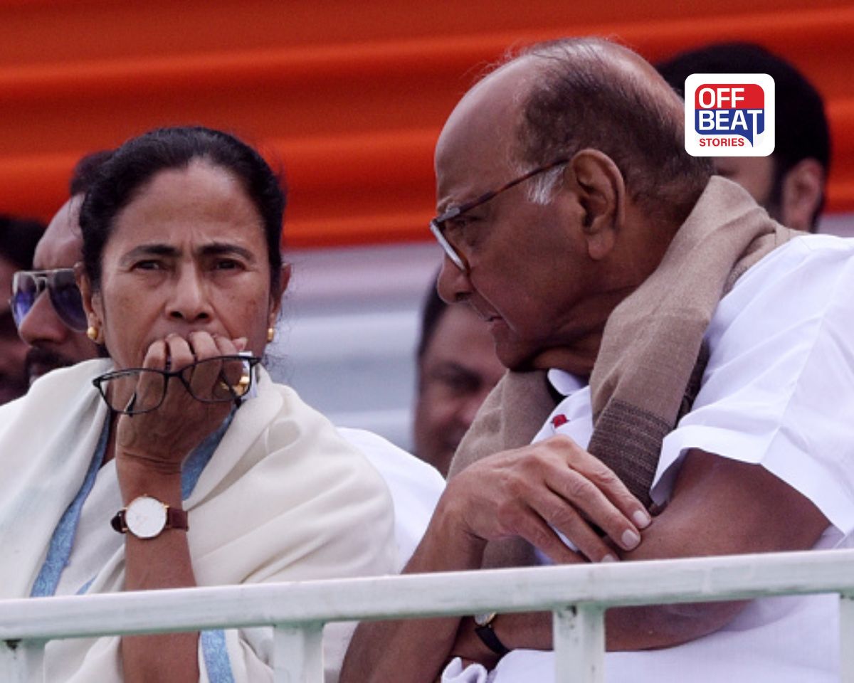 Mamata Banerjee, Sharad Pawar, Congress Merger