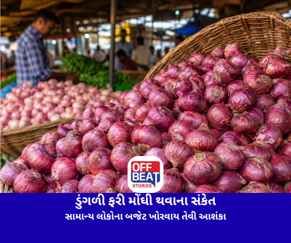 Onion Price Hike, Onion Procurement Price