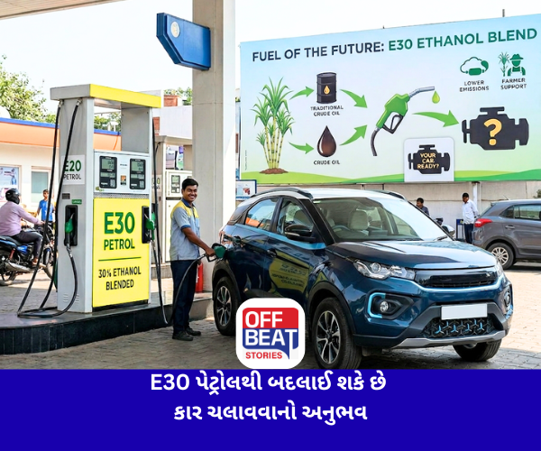 E30 પેટ્રોલથી બદલાઈ શકે છે કાર ચલાવવાનો અનુભવ