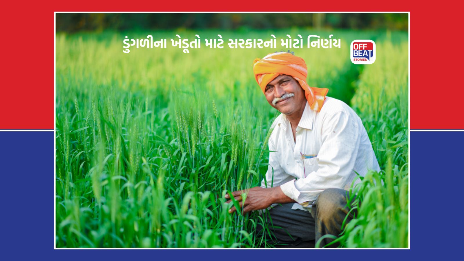 ડુંગળીના ખેડૂતો માટે ખુશખબર!