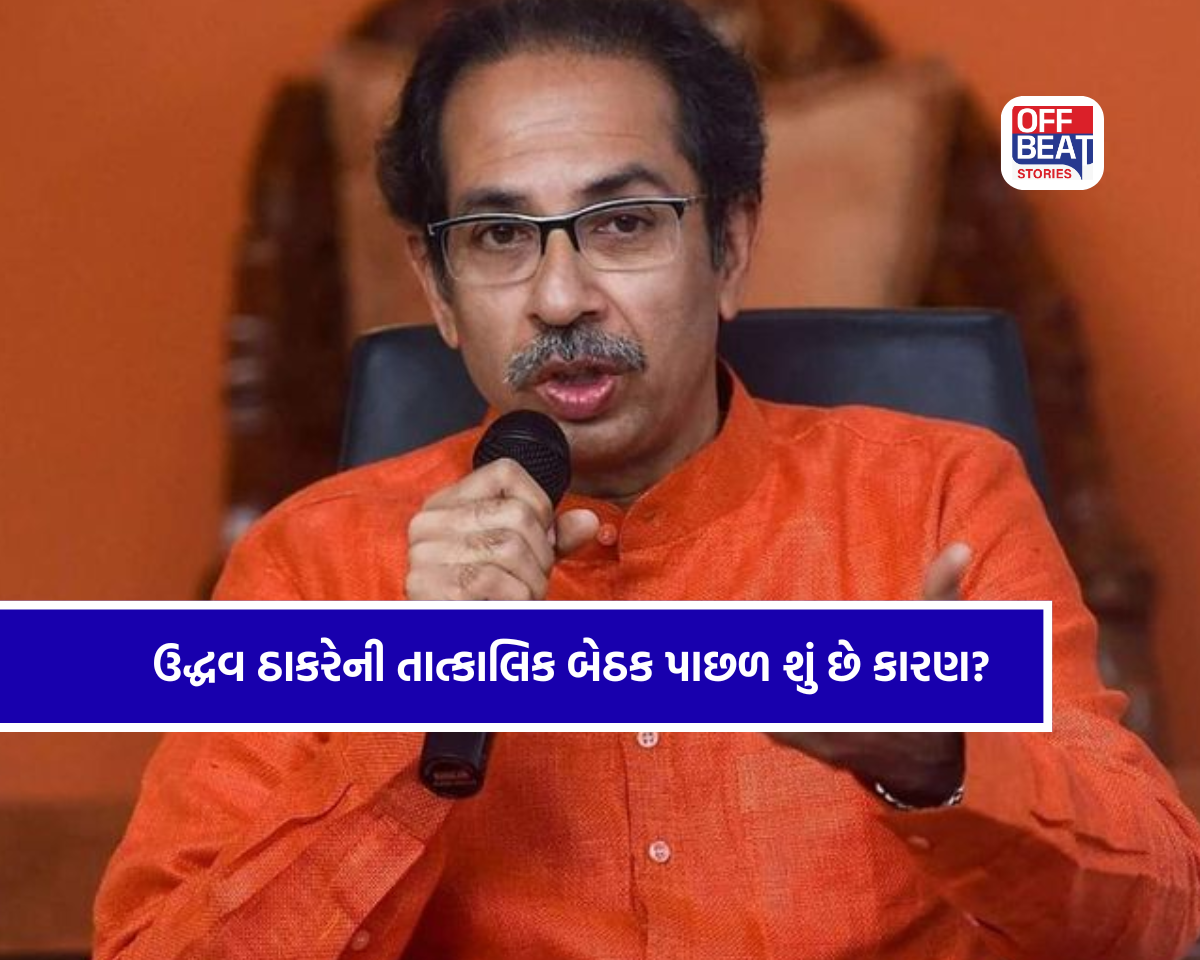 'ઓપરેશન ટાઇગર'ની ચર્ચા વચ્ચે ઉદ્ધવ ઠાકરે એક્શનમાં