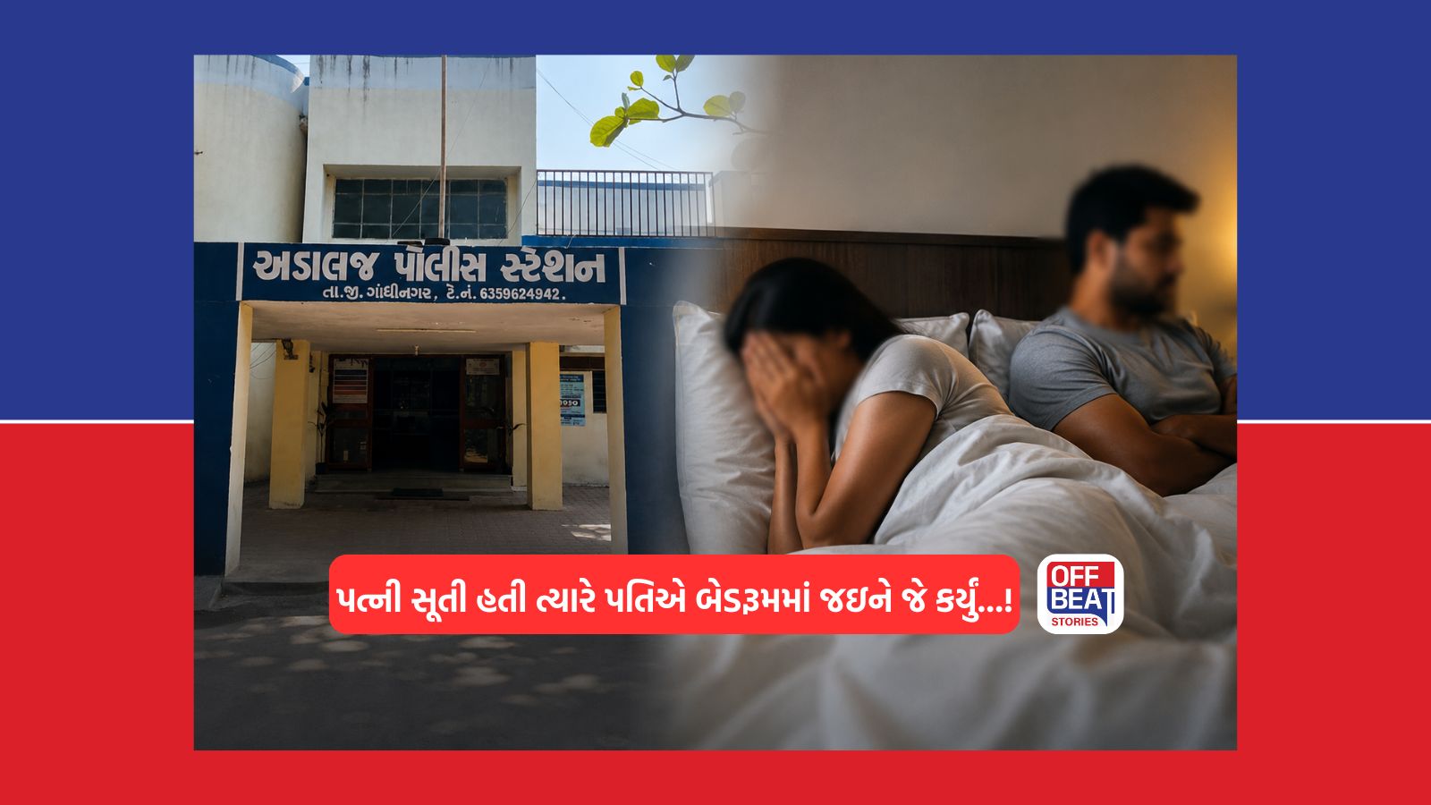 'રોજ બળજબરીથી શરીર સંબંધ બાંધવા મજબૂર કરતો હતો પતિ'
