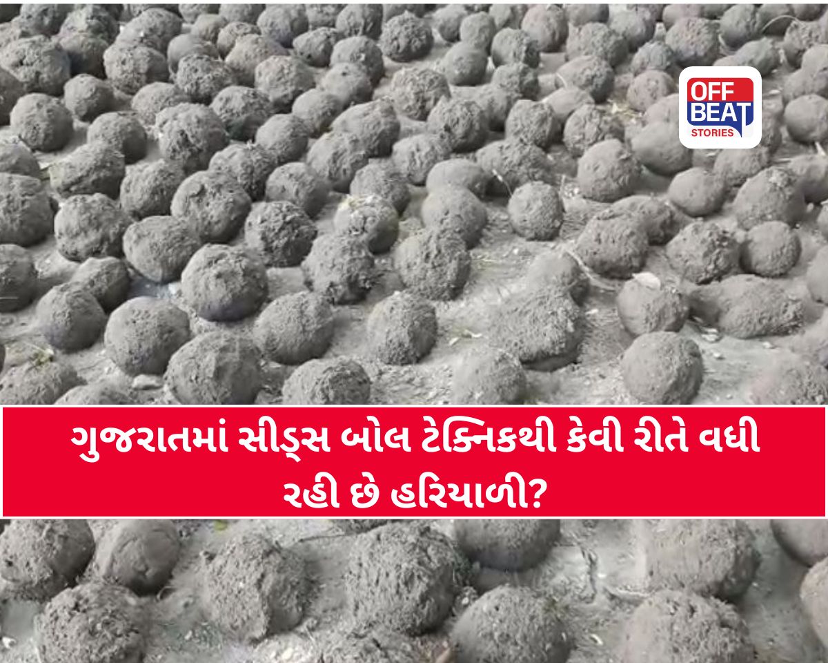 હોમગાર્ડ વિભાગની હરિયાળી પહેલ