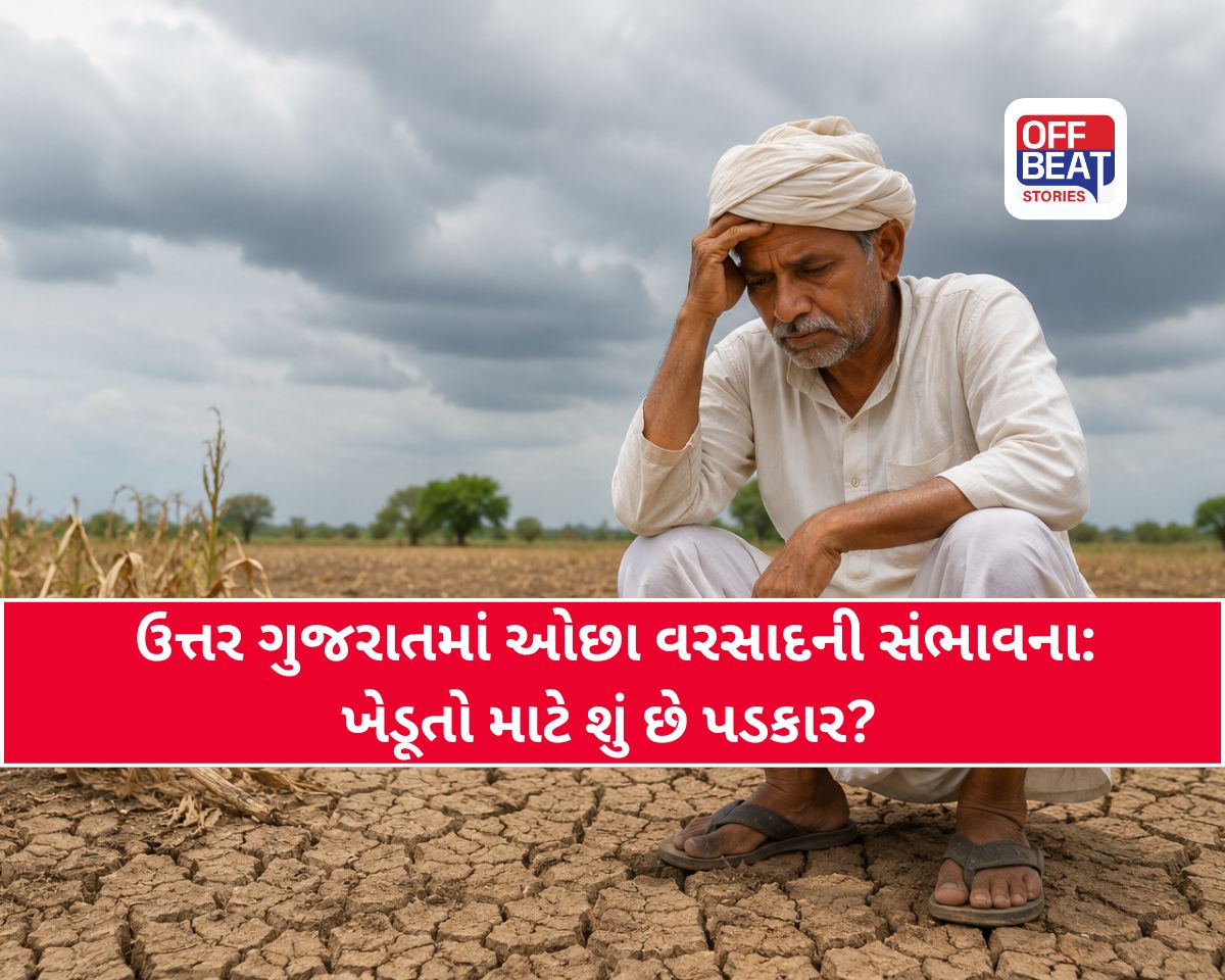 ગુજરાતમાં મેઘો ભૂક્કા કાઢશે કે ખેડૂતોને ચોંધાર આંસુએ રોશે?