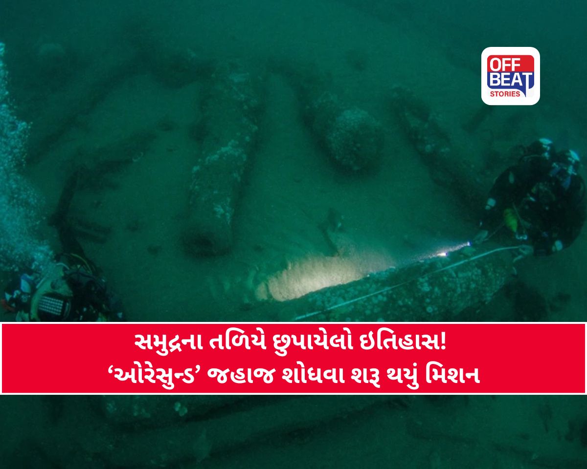 ભારત અને ડેનમાર્ક મળીને શોધશે 400 વર્ષ જૂનું ડૂબેલું જહાજ
