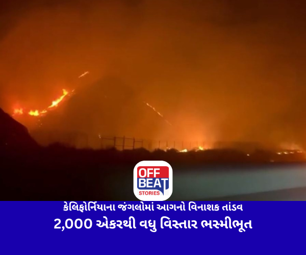 કેલિફોર્નિયાના જંગલોમાં આગનો વિનાશક તાંડવ