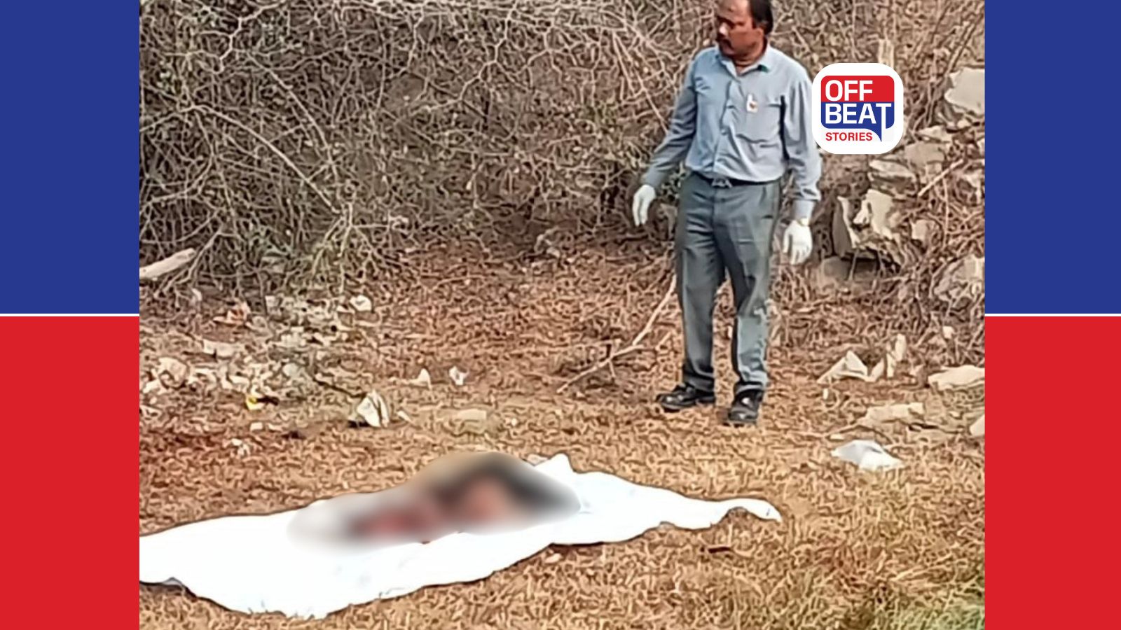 અમરેલીમાં સિંહણનો આતંક