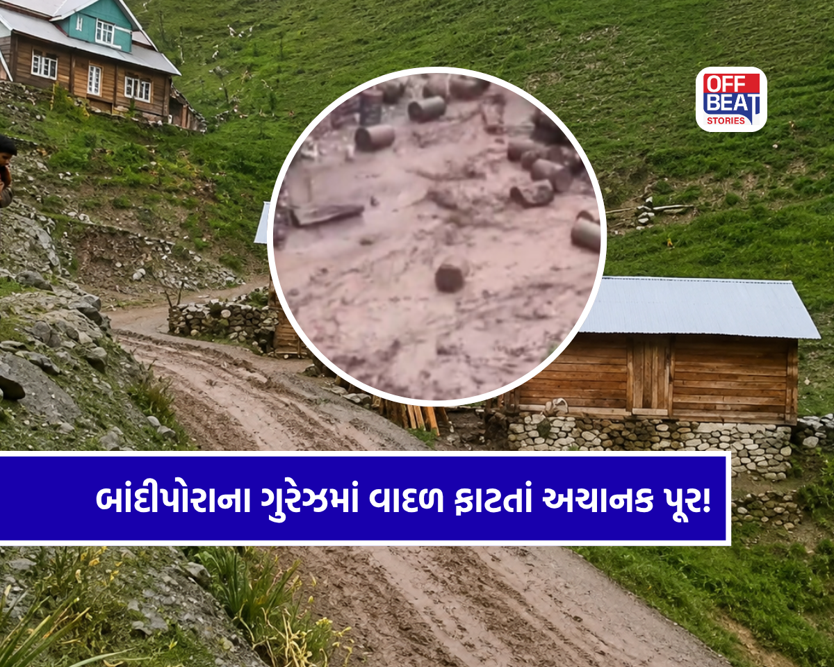 ઉત્તર કાશ્મીરના ગુરેઝમાં વાદળ ફાટતાં ભારે તબાહી!