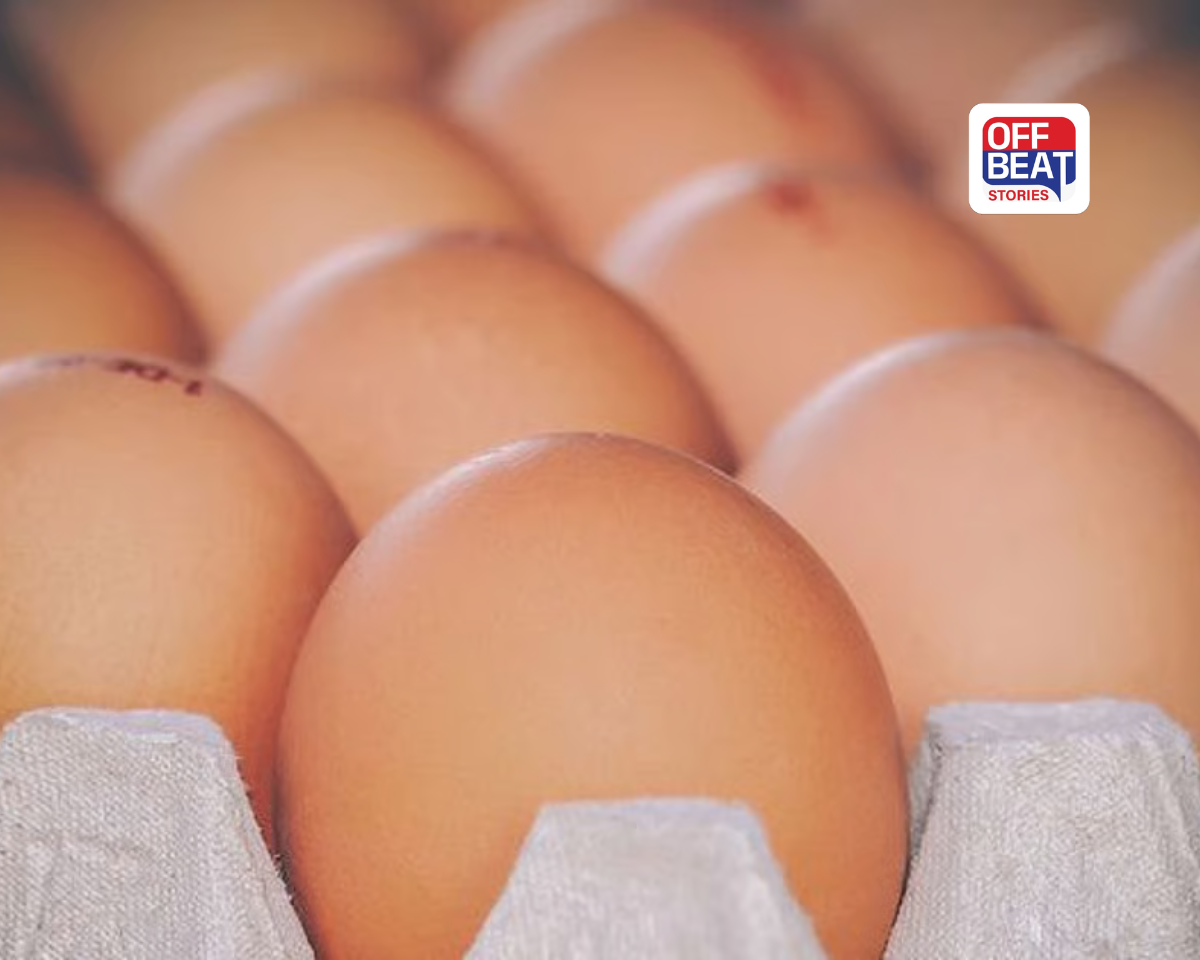 Egg Ban City of Gujarat