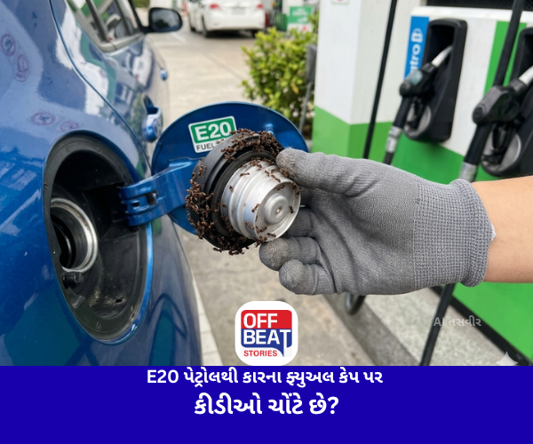 E20 પેટ્રોલથી કારના ફ્યુઅલ કેપ પર કીડીઓ ચોંટે છે?