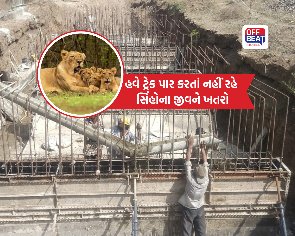 ગીરના સિંહો માટે ઐતિહાસિક પહેલ