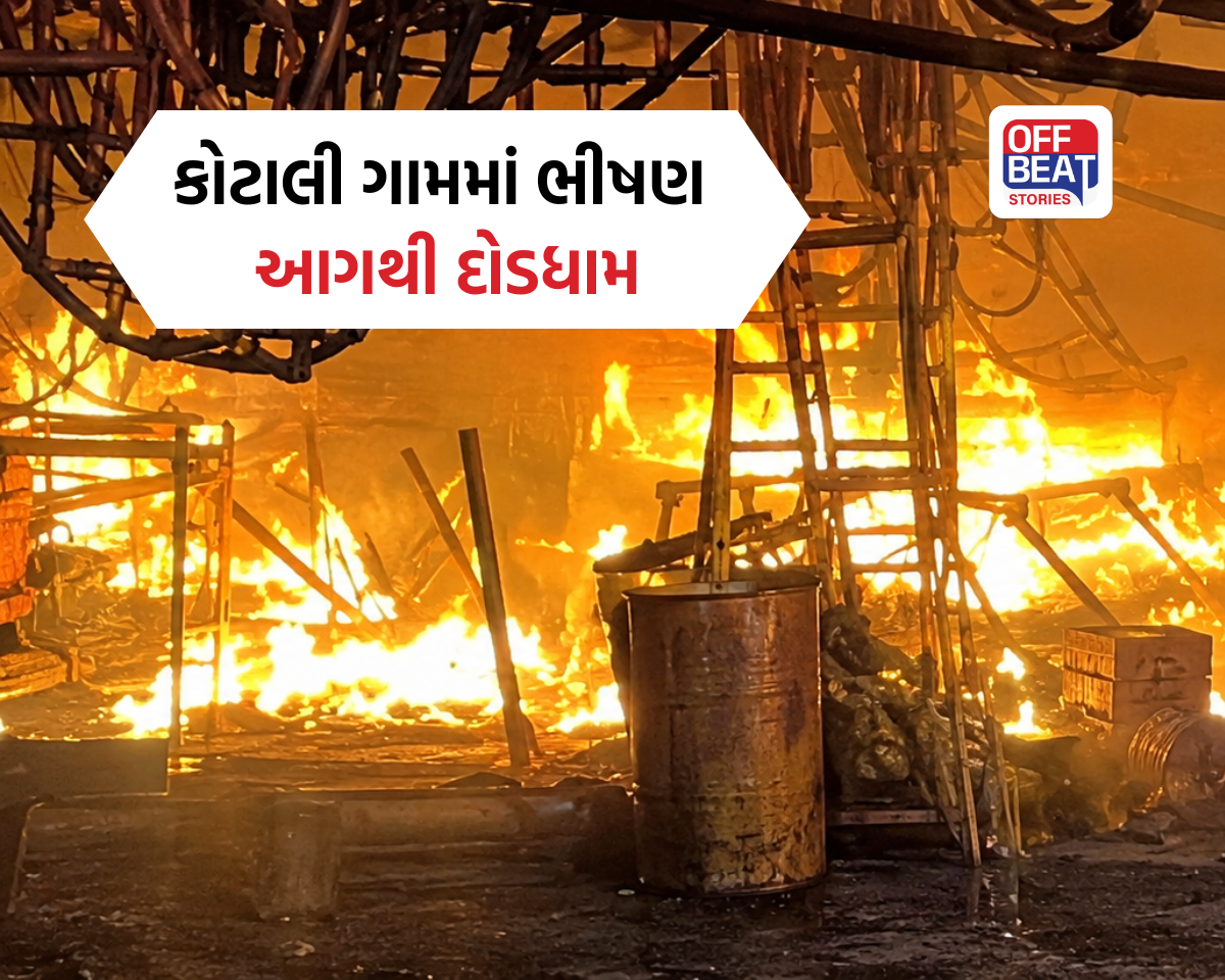 વડોદરા નજીક 6 હજાર સ્ક્વેર ફૂટનું ગોડાઉન બળીને ખાખ