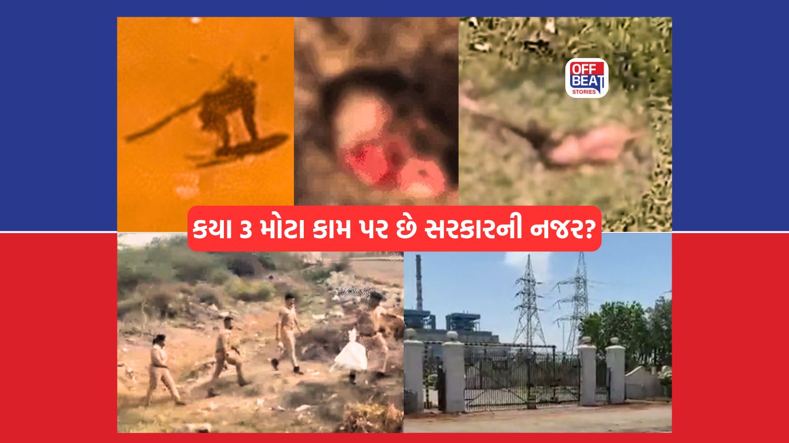 અમરેલીમાં યુવક પર સિંહ હુમલાનો કેસ