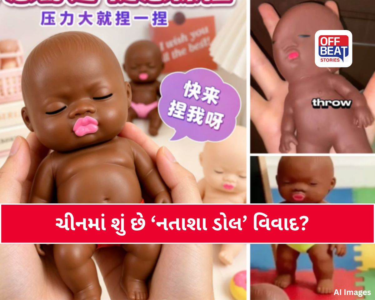 શ્યામ રંગની 'ઢીંગલી' પર ચીનમાં હોબાળો! શું છે 'નતાશા ડોલ'