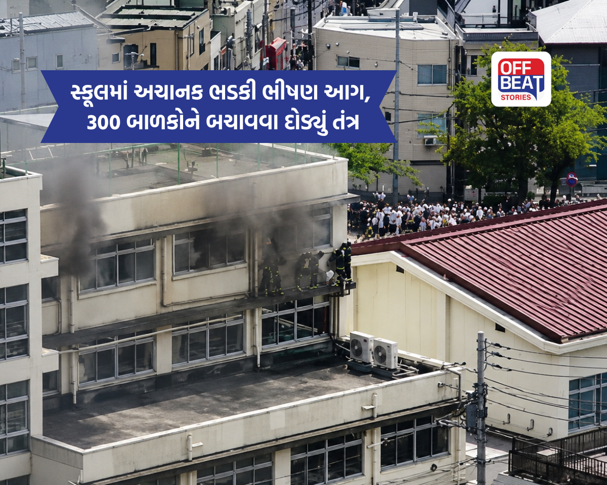 સ્કૂલમાં અચાનક આગ લાગતા વિદ્યાર્થીઓમાં ચીસાચીસ