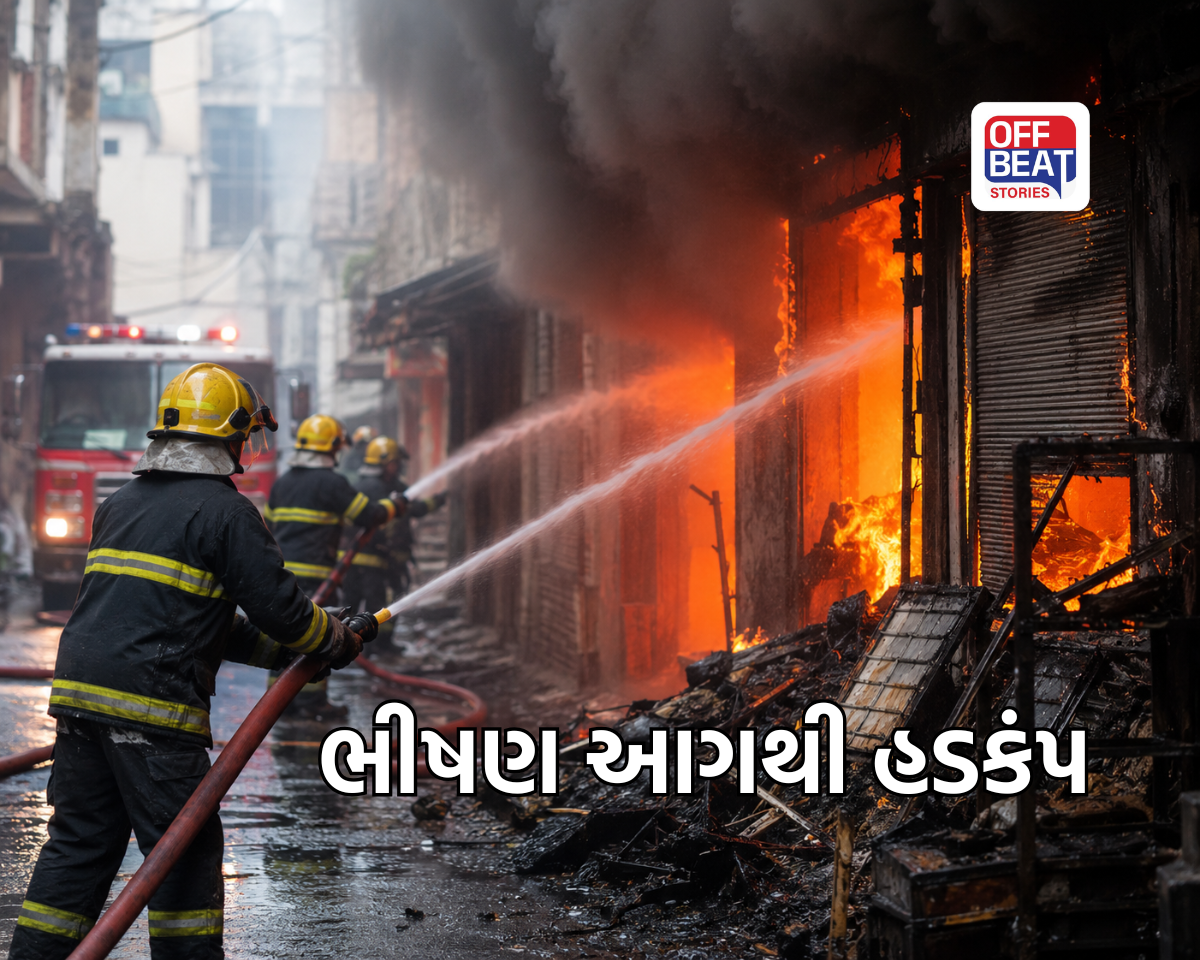 આગની એક ચિંગારીથી મચ્યો હાહાકાર!