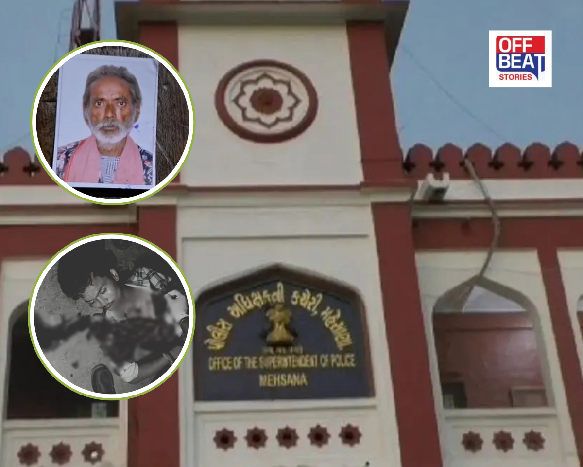 'સેફ મહેસાણા'ના દાવા વચ્ચે ક્રાઈમનો કહેર
