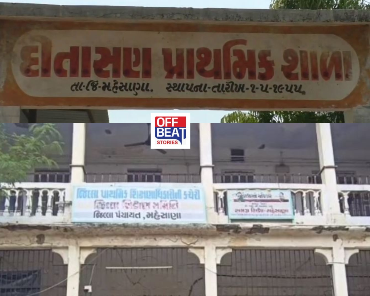 મહેસાણાની શાળાના આચાર્ય 2 વર્ષથી છે ન્યૂઝીલેન્ડમાં!